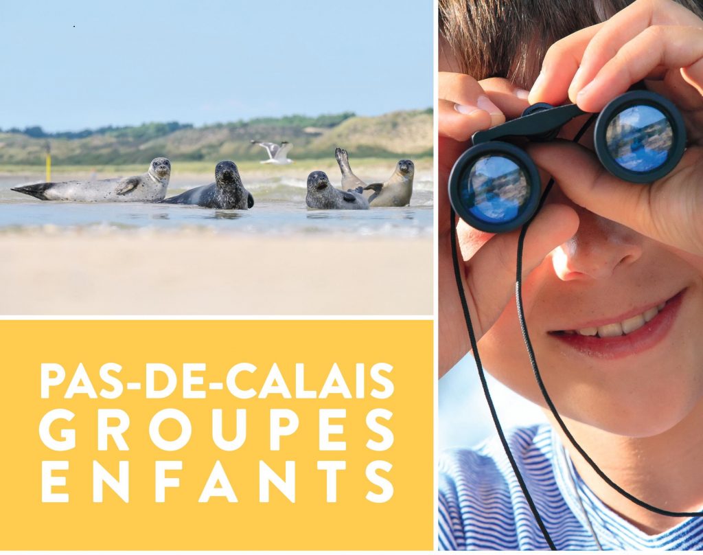 Voyage Scolaire Nord Pas De Calais Classe De Mer Classe D Couverte